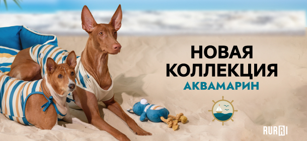 Летняя коллекция товаров для собак и кошек Аквамарин