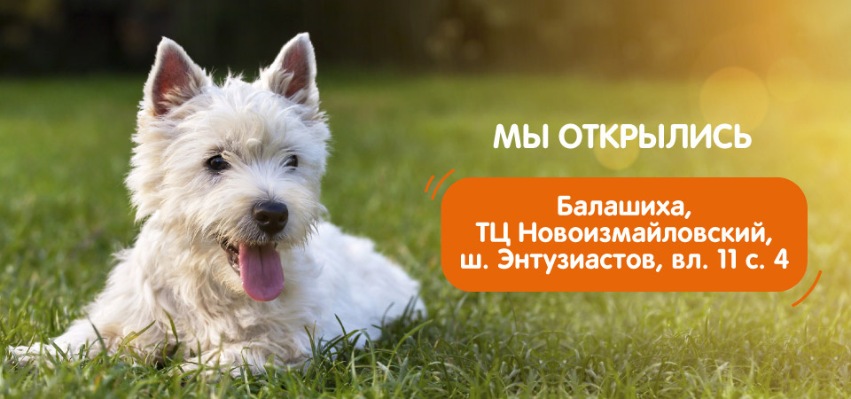4 Лапы Интернет Магазин Товаров Балашиха