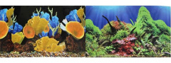 Фон двусторонний для аквариума Морские кораллы и Подводный мир, 50х100 см
