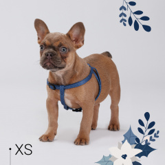 Шлейка для собак и кошек нейлоновая Синяя чешуя, XS, обхват груди 33-46,5 см, ширина 10 мм