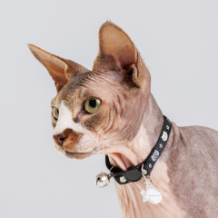 Ошейник нейлоновый со светоотражающим адресником для кошек, 1х30 см, черный