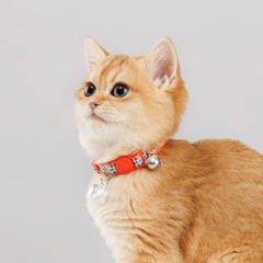 Ошейник нейлоновый со светоотражающим адресником для кошек, 1х30 см, красный
