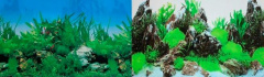 Фон двусторонний для аквариума Растительный и Скалы с растениями, 50х100 см