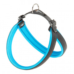 Шлейка для собак Agila Fluo 8, 69-77 см, 30 мм, синяя