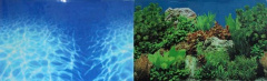 Фон двусторонний для аквариума Синее море и Растительный пейзаж, 30х60 см