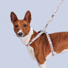 Шлейка с поводком для собак, обхват груди 30-50 см, ширина поводка 1,5 см, хаки