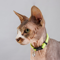 Ошейник нейлоновый светоотражающий с колокольчиком для кошек, 1х30 см, желтый