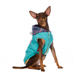 Куртка с капюшоном для собак, M, голубой (унисекс)