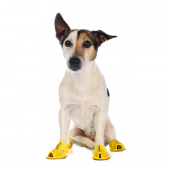 Босоножки для собак XS желтый (унисекс)