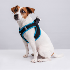 Шлейка-жилетка для собак Air, обхват груди 35-40 см, лента 15 мм, голубая