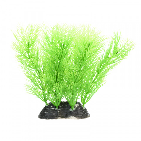 Растение зеленое 6*5*10см
