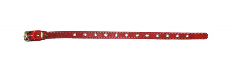 Ошейник для собак средних пород универсальный, 32-44х2 см, красный