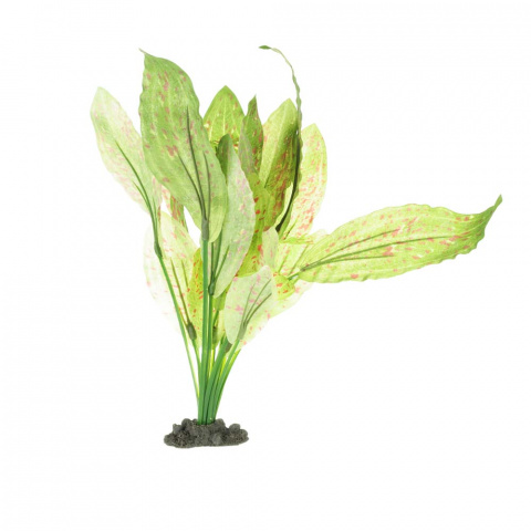 Растение шелковое Эхинодорус Оцелот Грин 30см