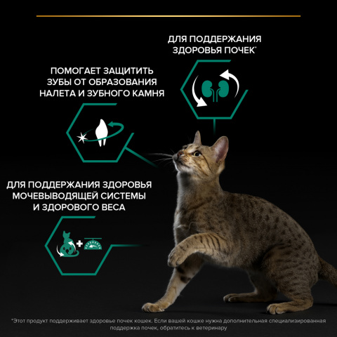 Sterilised Adult Renal Plus Сухой корм для поддержания здоровья почек у стерилизованных кошек и кастрированных котов, с лососем, 10 кг 4