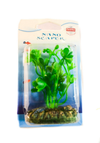 Растение HIDROCOTYLE TRIPARTITA 7см с грузом зеленое