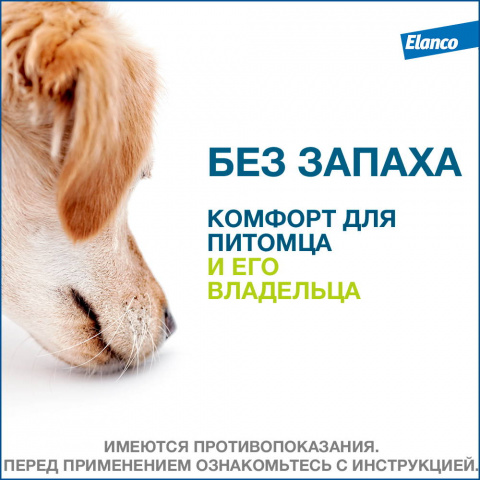 Форесто Ошейник для собак весом до 8 кг от блох и клещей, 38 см 8