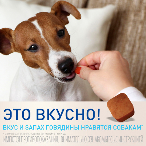 Фронтлайн НексгарД Жевательные таблетки от клещей и блох для собак 10,1-25 кг, (L), 3 таблетки 3