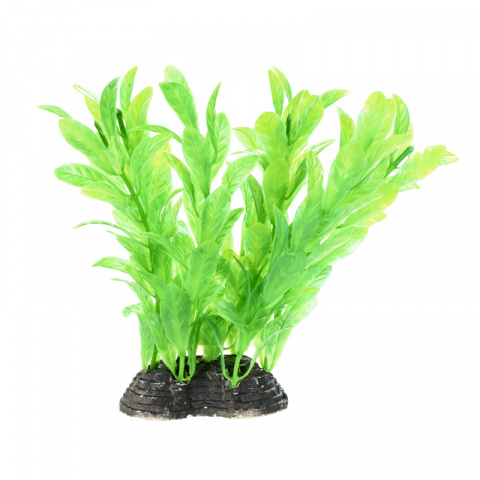 Растение зеленое с листьями 6*5*10см