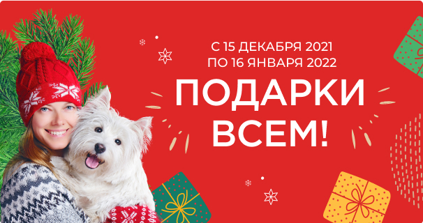 Магазин 4 Лапы График Работы 2 Января