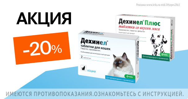 Дехинел: -20% на таблетки от гельминтов для кошек и собак