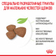 Превью Mini Puppy Сухой корм для щенков мелких пород в возрасте от 2 до 10 месяцев, 4 кг 7