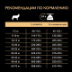 Превью Everyday Nutrition Сухой корм для взрослых собак средних пород, с курицей, 1,5 кг 7
