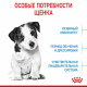Превью Mini Puppy Сухой корм для щенков мелких пород в возрасте от 2 до 10 месяцев, 4 кг 4