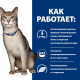 Превью Prescription Diet k/d Влажный диетический корм для кошек при хронической болезни почек, с лососем, 85 гр. 2