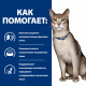 Превью Prescription Diet k/d Влажный диетический корм для кошек при хронической болезни почек, с лососем, 85 гр. 3