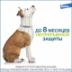 Превью Форесто Ошейник для собак весом до 8 кг от блох и клещей, 38 см 6