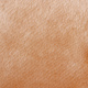 Превью Когтеточка-волна Marine (50х29х18 см) для кошек, бежево-коричневый 4