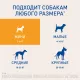 Превью Фронтлайн НексгарД Жевательные таблетки от клещей и блох для собак 2-4 кг, (S), 3 таблетки 5