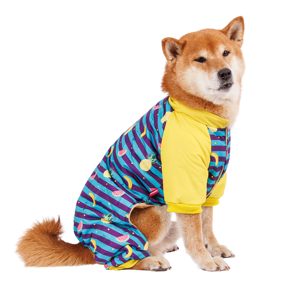 Petmax Комбинезон для собак в полоску с фруктами 2XL голубой (унисекс)
Petmax Комбинезон для собак в полоску с фруктами 2XL голубой (унисекс)