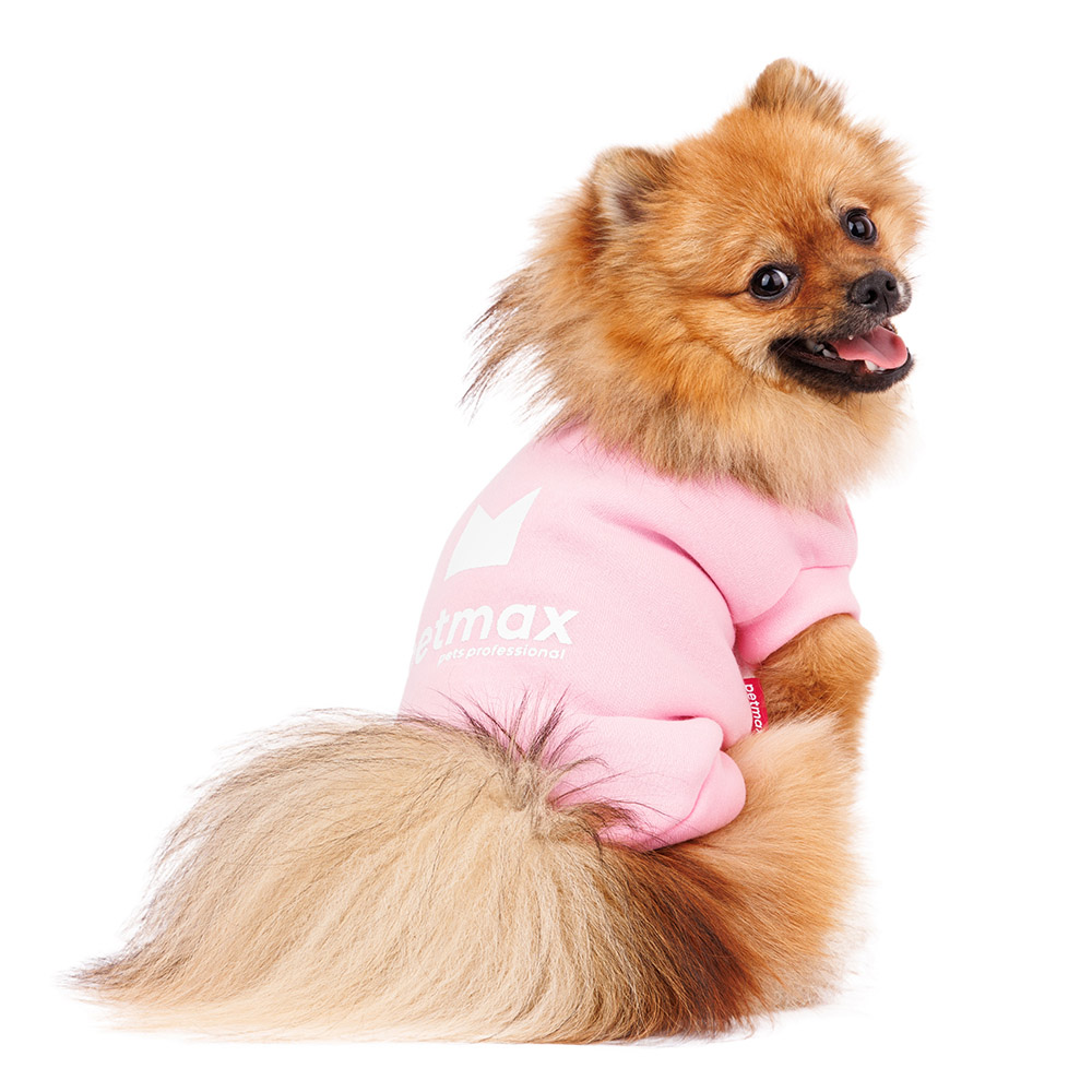 Petmax Толстовка для собак M розовый (унисекс)
Petmax Толстовка для собак M розовый (унисекс)