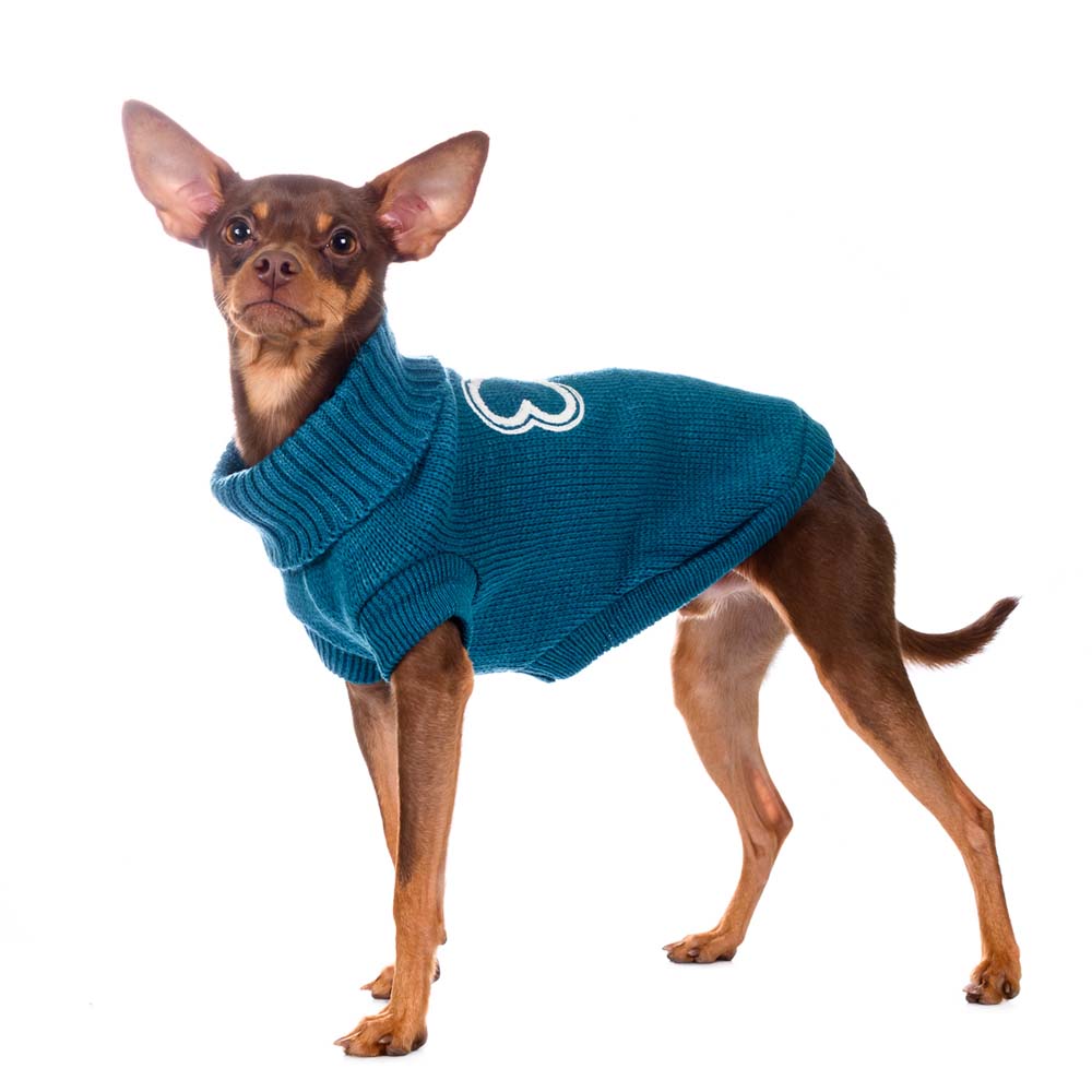 Petmax Свитер синий с косточкой 50см
Petmax Свитер синий с косточкой 50см