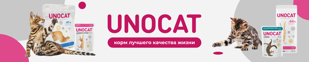 Баннер бренда UnoCat