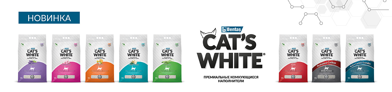 Баннер бренда Cat's White
