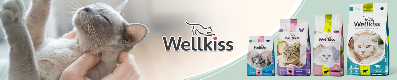 Баннер бренда Wellkiss