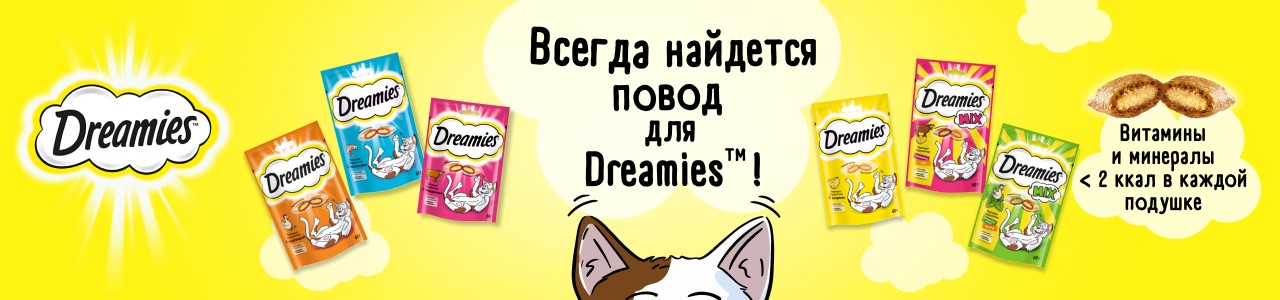 Баннер бренда Dreamies