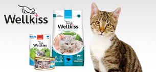 Корм для кошек Wellkiss: мнение ветеринаров
