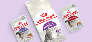 Корма для кошек Royal Canin: обзор