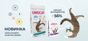 Котойога для кошки: сухие + влажные корма UNOCAT