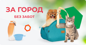 4 Лапы Тверь Интернет Магазин Тверь Доставка