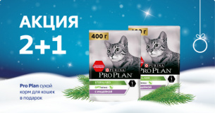 Pro Plan: 2+1 сухой корм для кошек в подарок
