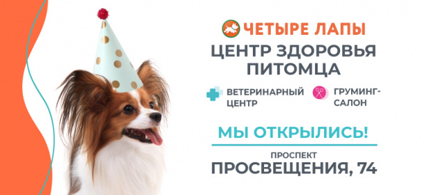 Первый Центр Здоровья «Четыре Лапы» в Санкт-Петербурге!