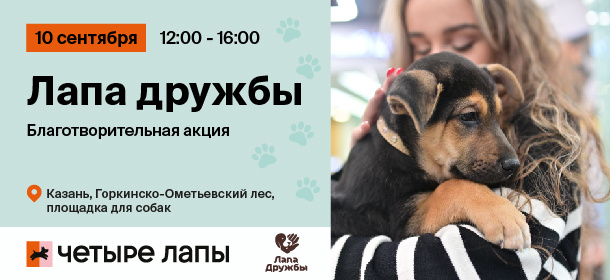 Благотворительная акция «Лапа дружбы» в Казани