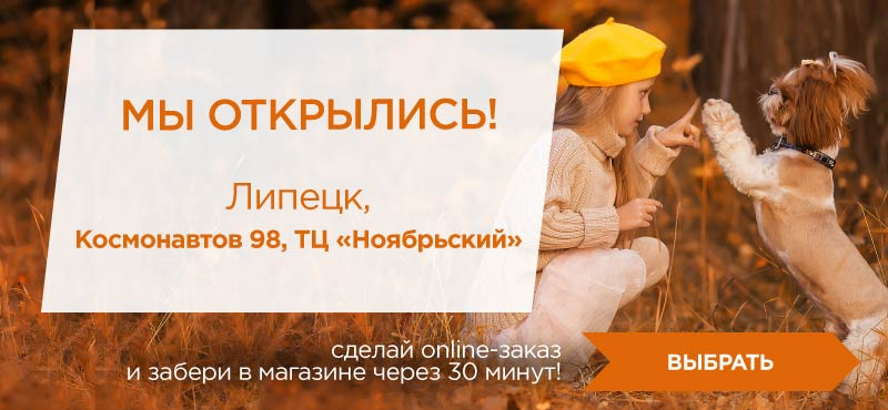 4 лапы липецк. Четыре лапы ноябрьский Липецк.