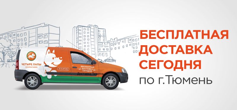 Круглосуточная доставка тюмень. Четыре лапы доставка. Delivery Тюмень. 4 Лапы доставим на дачу.