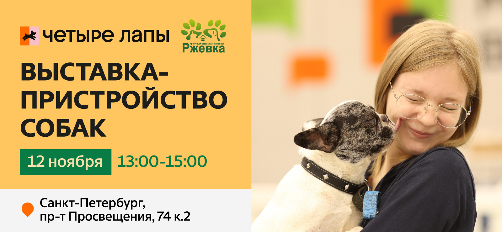Пристройство собак с Ржевка - новости «Четыре Лапы». 07.11.2022