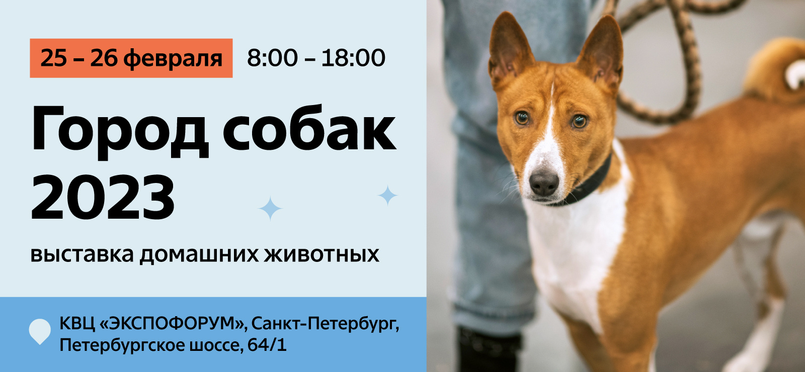 Город собак спб. Выставка собак в СПБ. Выставка город собак СПБ. На выставке собак. ЗООКУРЬЕР выставки собак в Санкт-Петербурге 2024.